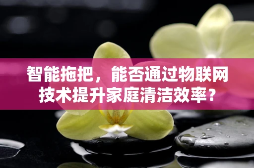 智能拖把，能否通过物联网技术提升家庭清洁效率？