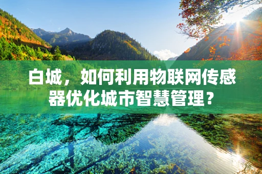 白城，如何利用物联网传感器优化城市智慧管理？