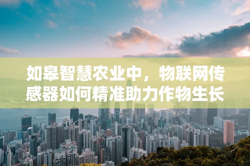 如皋智慧农业中，物联网传感器如何精准助力作物生长？
