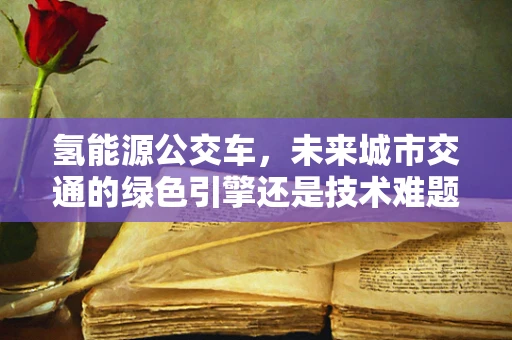 氢能源公交车，未来城市交通的绿色引擎还是技术难题的试验田？