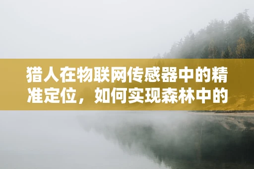 猎人在物联网传感器中的精准定位，如何实现森林中的无声追踪？