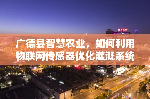 广德县智慧农业，如何利用物联网传感器优化灌溉系统？