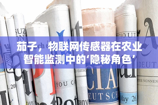 茄子，物联网传感器在农业智能监测中的‘隐秘角色’