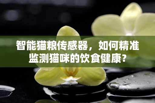 智能猫粮传感器，如何精准监测猫咪的饮食健康？