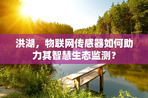 洪湖，物联网传感器如何助力其智慧生态监测？
