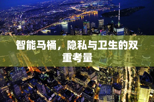 智能马桶，隐私与卫生的双重考量