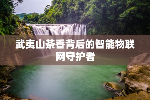 武夷山茶香背后的智能物联网守护者
