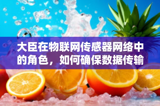 大臣在物联网传感器网络中的角色，如何确保数据传输的忠诚与高效？