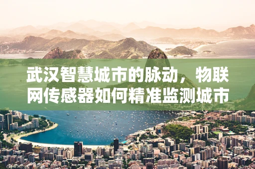 武汉智慧城市的脉动，物联网传感器如何精准监测城市健康？