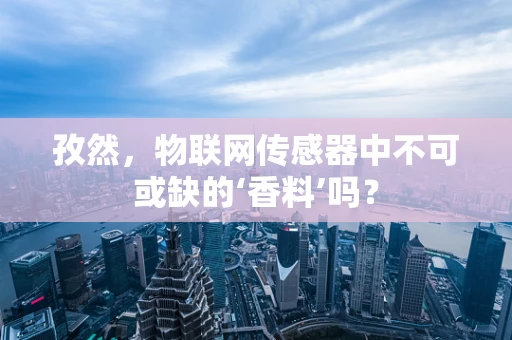 孜然，物联网传感器中不可或缺的‘香料’吗？