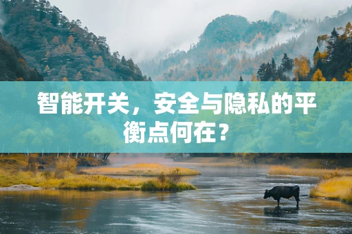 智能开关，安全与隐私的平衡点何在？