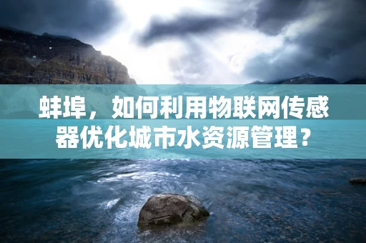 蚌埠，如何利用物联网传感器优化城市水资源管理？