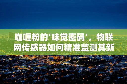 咖喱粉的‘味觉密码’，物联网传感器如何精准监测其新鲜度？