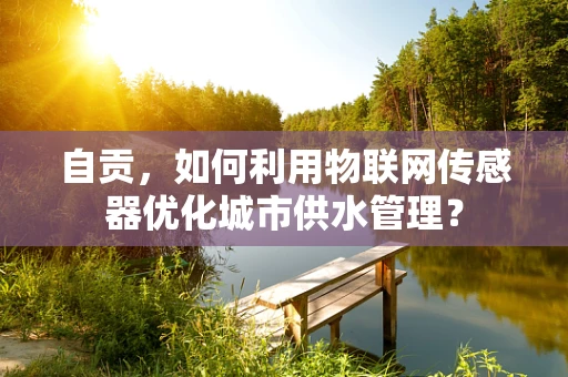 自贡，如何利用物联网传感器优化城市供水管理？