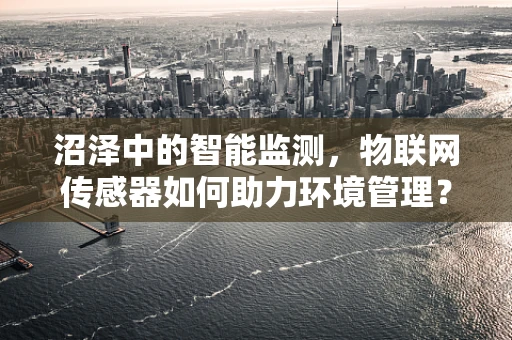 沼泽中的智能监测，物联网传感器如何助力环境管理？