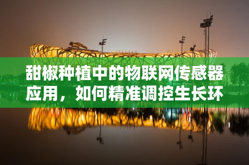 甜椒种植中的物联网传感器应用，如何精准调控生长环境？