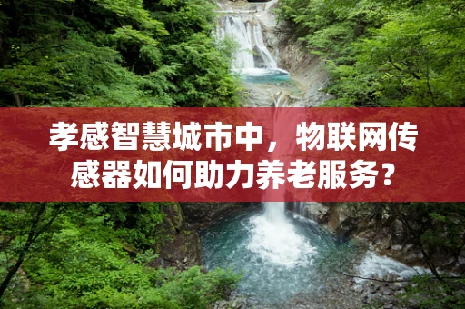 孝感智慧城市中，物联网传感器如何助力养老服务？