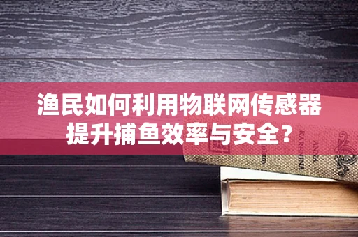 渔民如何利用物联网传感器提升捕鱼效率与安全？