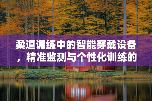 柔道训练中的智能穿戴设备，精准监测与个性化训练的未来？
