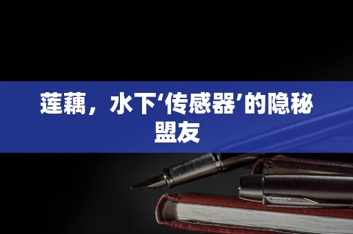 莲藕，水下‘传感器’的隐秘盟友