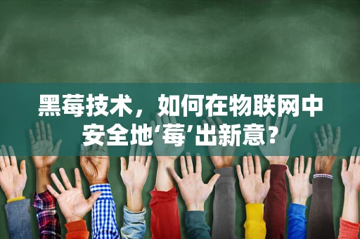 黑莓技术，如何在物联网中安全地‘莓’出新意？