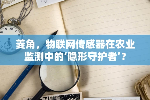 菱角，物联网传感器在农业监测中的‘隐形守护者’？