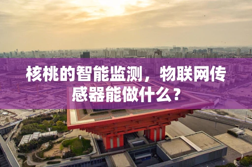 核桃的智能监测，物联网传感器能做什么？