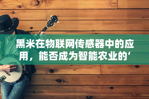 黑米在物联网传感器中的应用，能否成为智能农业的‘黑科技’？
