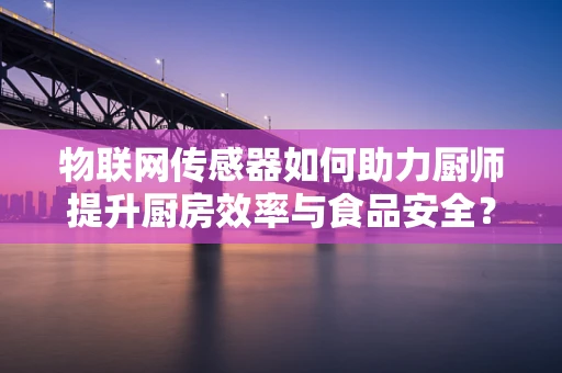 物联网传感器如何助力厨师提升厨房效率与食品安全？