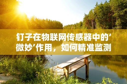 钉子在物联网传感器中的‘微妙’作用，如何精准监测与预防微小损伤？