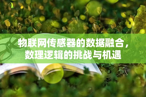 物联网传感器的数据融合，数理逻辑的挑战与机遇