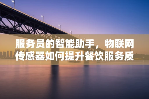 服务员的智能助手，物联网传感器如何提升餐饮服务质量？