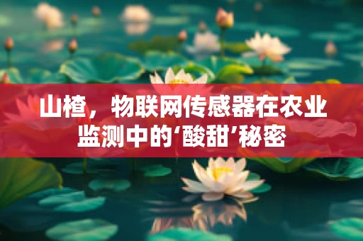 山楂，物联网传感器在农业监测中的‘酸甜’秘密