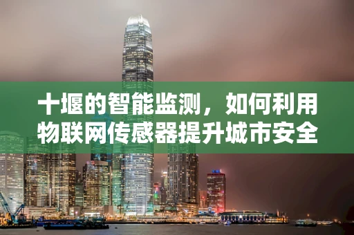 十堰的智能监测，如何利用物联网传感器提升城市安全与效率？