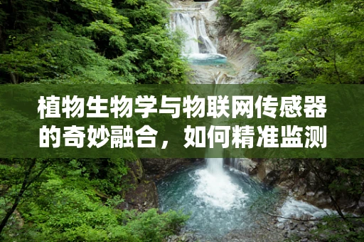 植物生物学与物联网传感器的奇妙融合，如何精准监测植物生长？