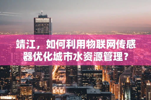 靖江，如何利用物联网传感器优化城市水资源管理？