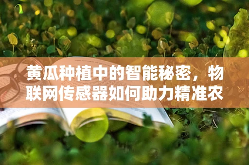 黄瓜种植中的智能秘密，物联网传感器如何助力精准农业？