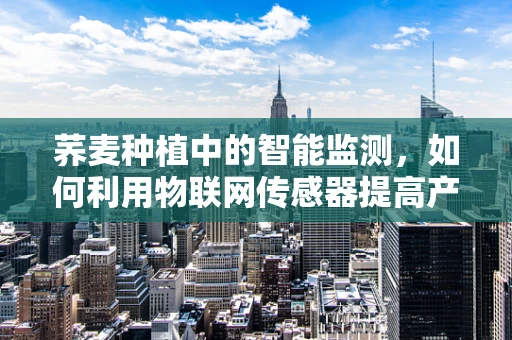 荞麦种植中的智能监测，如何利用物联网传感器提高产量？