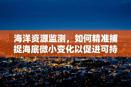 海洋资源监测，如何精准捕捉海底微小变化以促进可持续利用？