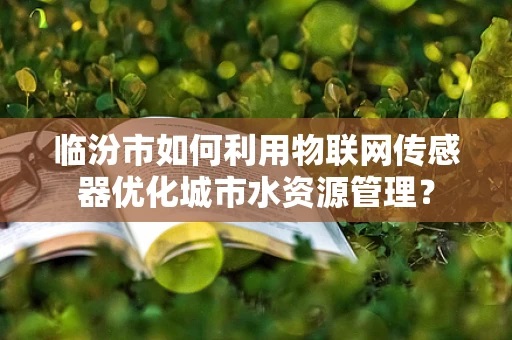 临汾市如何利用物联网传感器优化城市水资源管理？