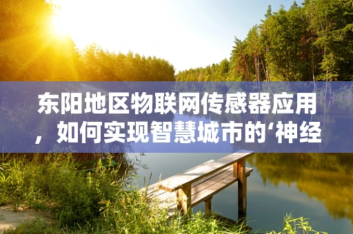 东阳地区物联网传感器应用，如何实现智慧城市的‘神经元’？