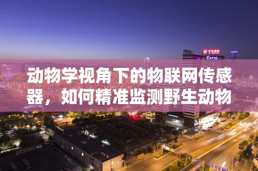 动物学视角下的物联网传感器，如何精准监测野生动物行为？