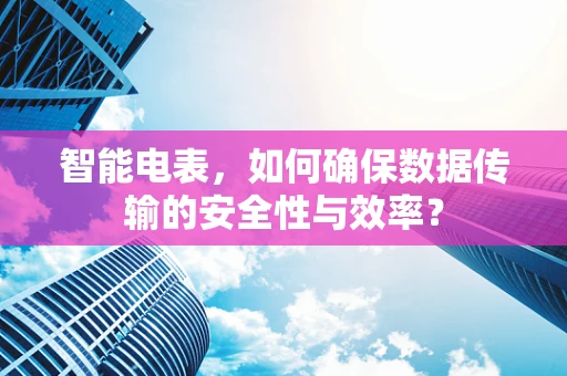 智能电表，如何确保数据传输的安全性与效率？