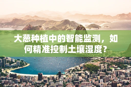 大葱种植中的智能监测，如何精准控制土壤湿度？