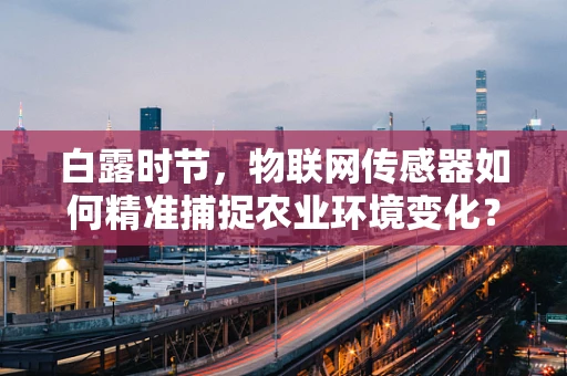白露时节，物联网传感器如何精准捕捉农业环境变化？