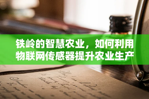 铁岭的智慧农业，如何利用物联网传感器提升农业生产效率？