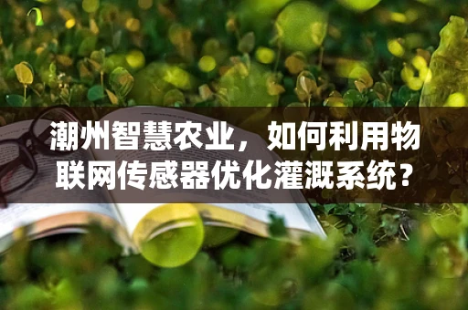 潮州智慧农业，如何利用物联网传感器优化灌溉系统？