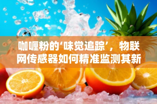 咖喱粉的‘味觉追踪’，物联网传感器如何精准监测其新鲜度？