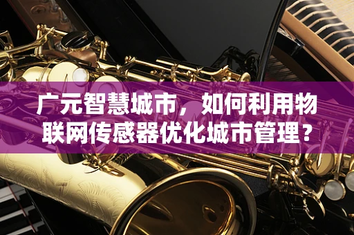 广元智慧城市，如何利用物联网传感器优化城市管理？