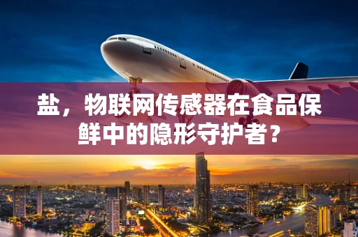 盐，物联网传感器在食品保鲜中的隐形守护者？
